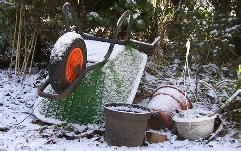 How to Prepare Your Garden for Winter: Decoration and Maintenance Tips