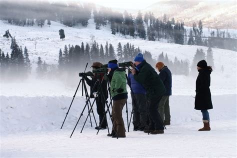 Winter Wildlife Watching: What Can I See and Where?