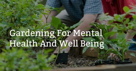The Impact of Garden Design on Your Mental Health