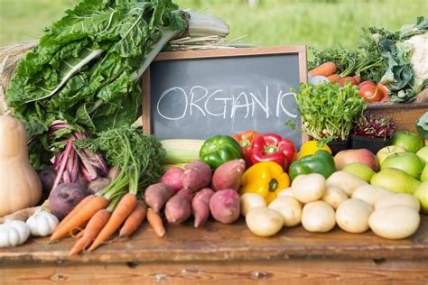 How to Grow Your Own Organic Vegetable Garden: A Beginner’s Handbook