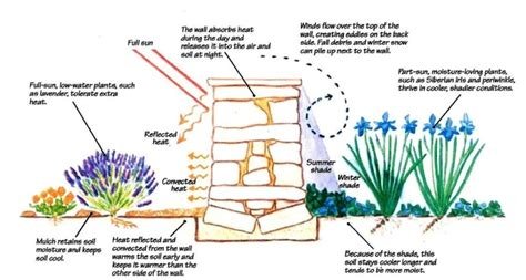 How to Choose the Right Plants for Your Garden Design