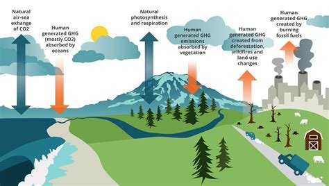 The Science of Climate Change: Understanding Environmental Impact and Solutions