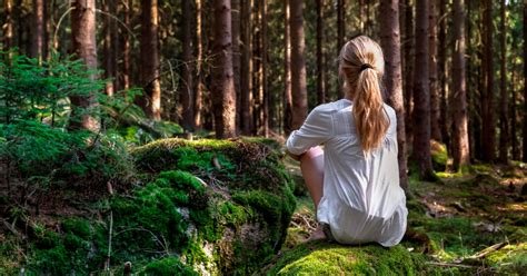 The Healing Power of Nature: Mental Health Benefits of Camping