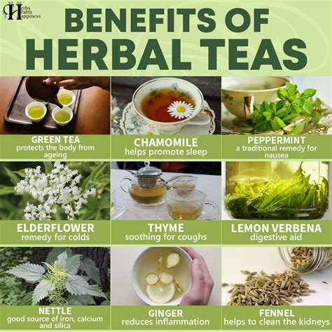 The Health Benefits of Herbal Teas: A Well-Being Guide