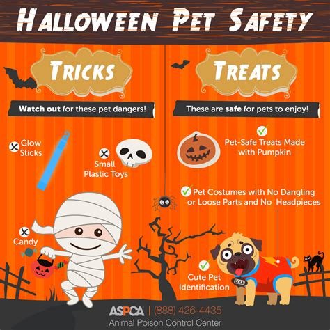 Halloween Safety Tips: Keeping Kids and Pets Safe During Trick-or-Treating