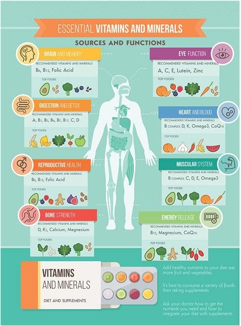 The Science of Vitamins: Understanding the Role of Nutrients in Overall Health