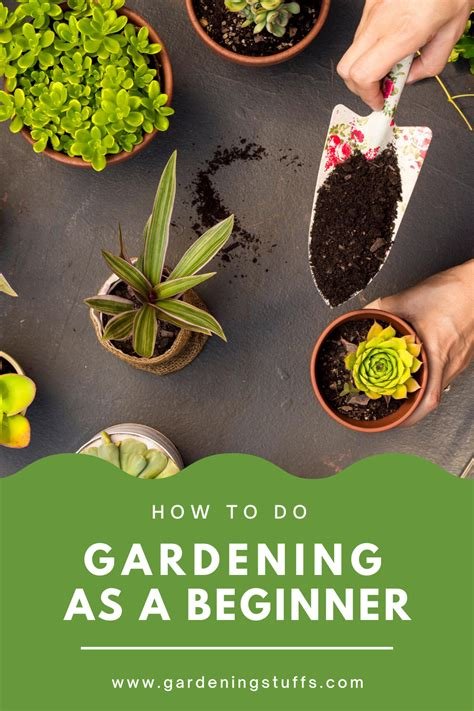 Gardening for Beginners: Tips for Starting Your Green Thumb Journey